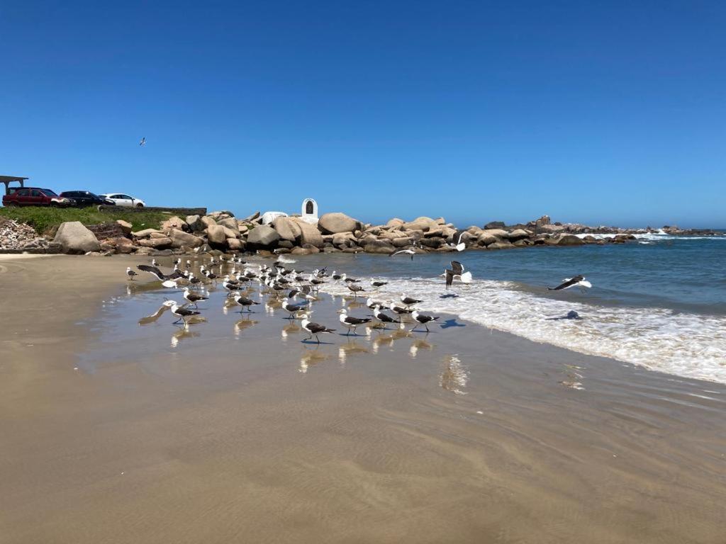 Apto Com Vista O Mar E O Farol - Loft 323 Apartment *